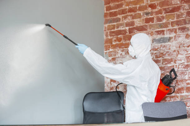 Best Asbestos and Lead Testing During Mold Inspection  in Buffalo, MN