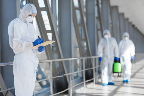 Best Mold Removal for HVAC Installations  in Buffalo, MN