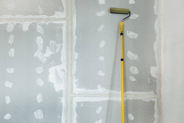 Best Forensic Mold Investigation  in Buffalo, MN