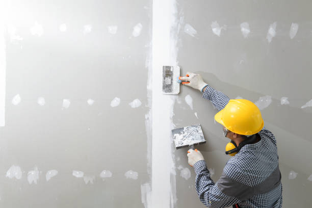 Best Crawl Space Mold Remediation  in Buffalo, MN