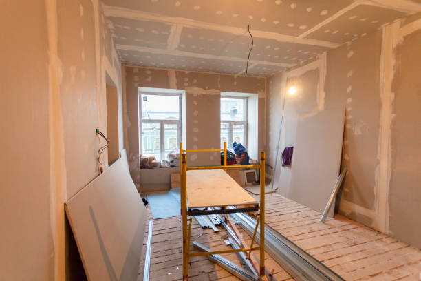 Best Attic Mold Removal  in Buffalo, MN
