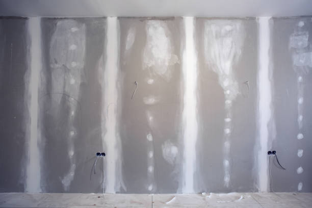 Best Comprehensive Air Testing for Mold Contaminants  in Buffalo, MN