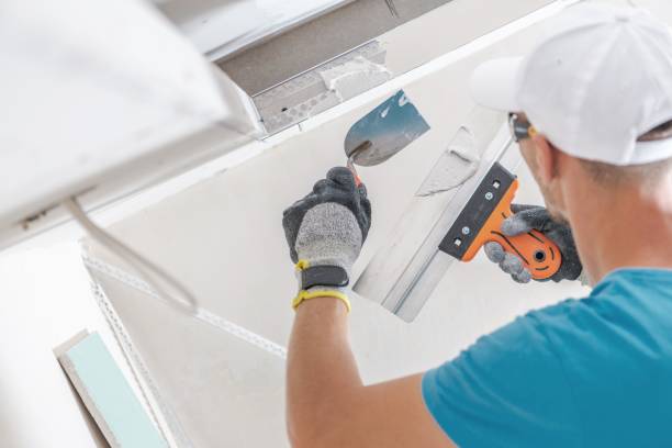 Best Post-Construction Mold Inspection  in Buffalo, MN
